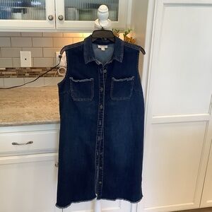 Style & Co Denim Sleeveless Dress Size 12